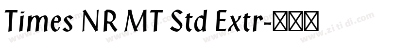 Times NR MT Std Extr字体转换
